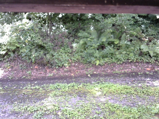 長野県菅平高原 ゆたか山荘 南側 2025/08/17 11:30