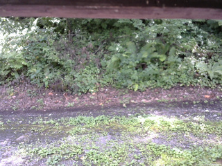 長野県菅平高原 ゆたか山荘 南側 2025/08/17 11:45