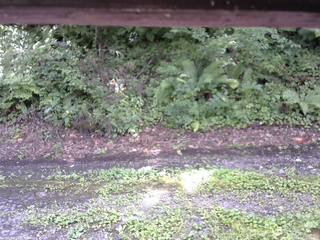 長野県菅平高原 ゆたか山荘 南側 2025/08/17 12:00