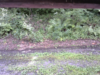 長野県菅平高原 ゆたか山荘 南側 2025/08/17 12:15