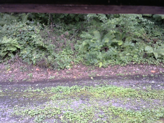 長野県菅平高原 ゆたか山荘 南側 2025/08/17 12:30