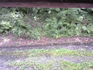 長野県菅平高原 ゆたか山荘 南側 2025/08/17 12:45