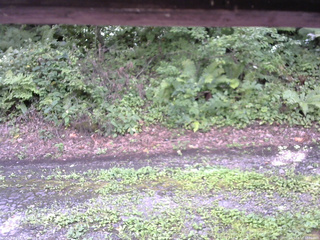 長野県菅平高原 ゆたか山荘 南側 2025/08/17 13:00