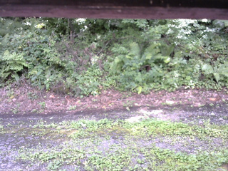 長野県菅平高原 ゆたか山荘 南側 2025/08/17 13:15