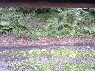 長野県菅平高原 ゆたか山荘 南側 2025/08/17 13:30