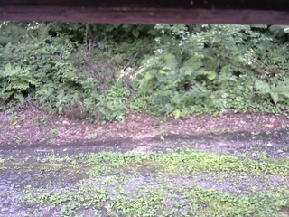 長野県菅平高原 ゆたか山荘 南側 2025/08/17 13:45