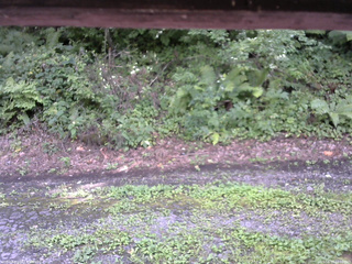 長野県菅平高原 ゆたか山荘 南側 2025/08/17 14:00