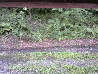 長野県菅平高原 ゆたか山荘 南側 2025/08/17 14:15