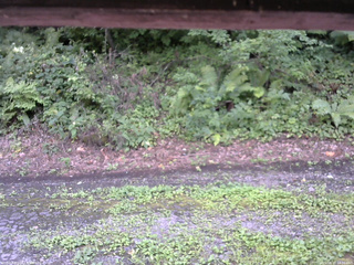 長野県菅平高原 ゆたか山荘 南側 2025/08/17 14:30