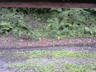 長野県菅平高原 ゆたか山荘 南側 2025/08/17 14:45