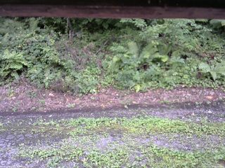 長野県菅平高原 ゆたか山荘 南側 2025/08/17 15:00