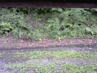 長野県菅平高原 ゆたか山荘 南側 2025/08/17 15:15