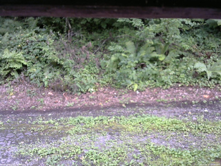 長野県菅平高原 ゆたか山荘 南側 2025/08/17 15:30