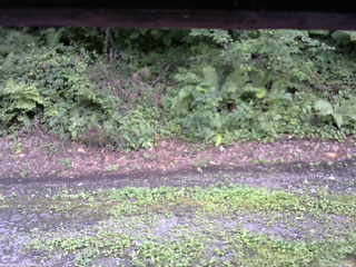 長野県菅平高原 ゆたか山荘 南側 2025/08/17 15:45