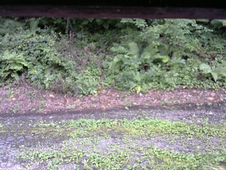 長野県菅平高原 ゆたか山荘 南側 2025/08/17 16:00