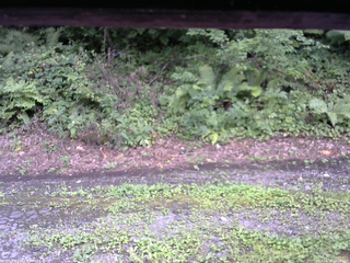 長野県菅平高原 ゆたか山荘 南側 2025/08/17 16:15