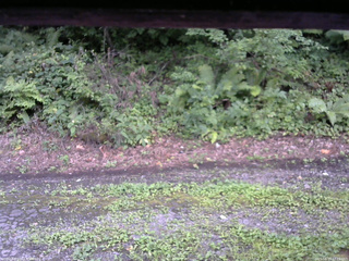 長野県菅平高原 ゆたか山荘 南側 2025/08/17 17:15