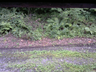 長野県菅平高原 ゆたか山荘 南側 2025/08/17 17:30