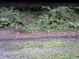 長野県菅平高原 ゆたか山荘 南側 2025/08/17 18:15