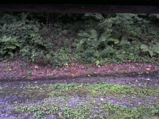 長野県菅平高原 ゆたか山荘 南側 2025/08/17 18:30