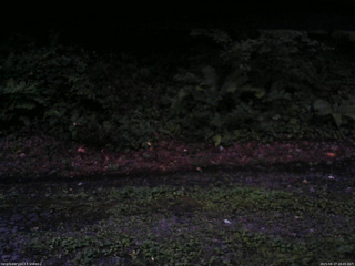 長野県菅平高原 ゆたか山荘 南側 2025/08/17 18:45