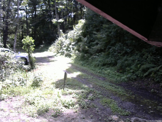 長野県菅平高原 ゆたか山荘 東側(坂下) 2025/08/17 10:00