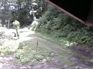 長野県菅平高原 ゆたか山荘 東側(坂下) 2025/08/17 11:00