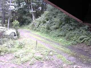 長野県菅平高原 ゆたか山荘 東側(坂下) 2025/08/17 11:15