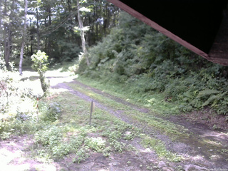 長野県菅平高原 ゆたか山荘 東側(坂下) 2025/08/17 11:30
