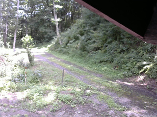 長野県菅平高原 ゆたか山荘 東側(坂下) 2025/08/17 12:00