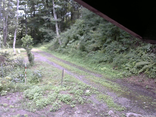 長野県菅平高原 ゆたか山荘 東側(坂下) 2025/08/17 12:30