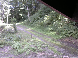 長野県菅平高原 ゆたか山荘 東側(坂下) 2025/08/17 13:15