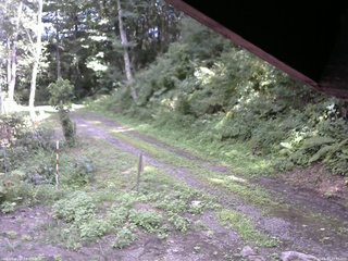 長野県菅平高原 ゆたか山荘 東側(坂下) 2025/08/17 13:30