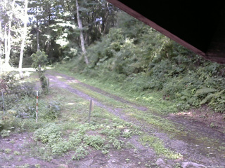 長野県菅平高原 ゆたか山荘 東側(坂下) 2025/08/17 13:45