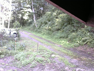 長野県菅平高原 ゆたか山荘 東側(坂下) 2025/08/17 14:00