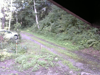 長野県菅平高原 ゆたか山荘 東側(坂下) 2025/08/17 15:15