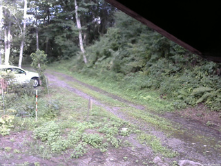 長野県菅平高原 ゆたか山荘 東側(坂下) 2025/08/17 16:00