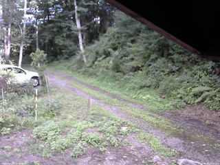 長野県菅平高原 ゆたか山荘 東側(坂下) 2025/08/17 16:15