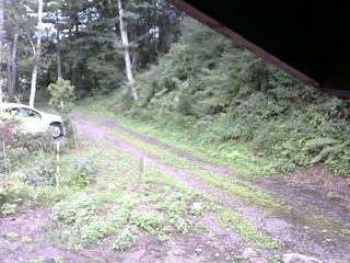 長野県菅平高原 ゆたか山荘 東側(坂下) 2025/08/17 16:30