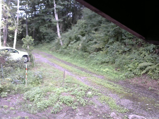 長野県菅平高原 ゆたか山荘 東側(坂下) 2025/08/17 17:00
