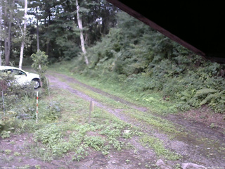 長野県菅平高原 ゆたか山荘 東側(坂下) 2025/08/17 17:30
