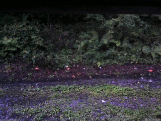 長野県菅平高原 ゆたか山荘 南側 2025/08/18 05:00