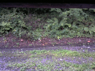 長野県菅平高原 ゆたか山荘 南側 2025/08/18 05:15