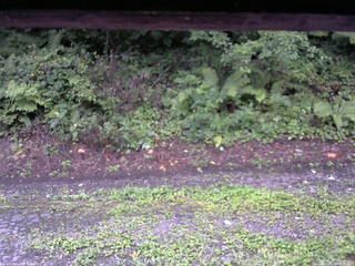 長野県菅平高原 ゆたか山荘 南側 2025/08/18 05:30