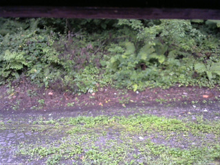 長野県菅平高原 ゆたか山荘 南側 2025/08/18 05:45