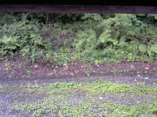 長野県菅平高原 ゆたか山荘 南側 2025/08/18 06:00