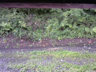 長野県菅平高原 ゆたか山荘 南側 2025/08/18 06:30