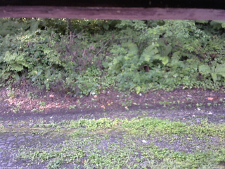 長野県菅平高原 ゆたか山荘 南側 2025/08/18 06:45