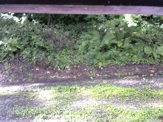 長野県菅平高原 ゆたか山荘 南側 2025/08/18 07:30