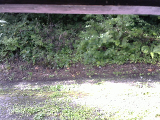 長野県菅平高原 ゆたか山荘 南側 2025/08/18 07:45